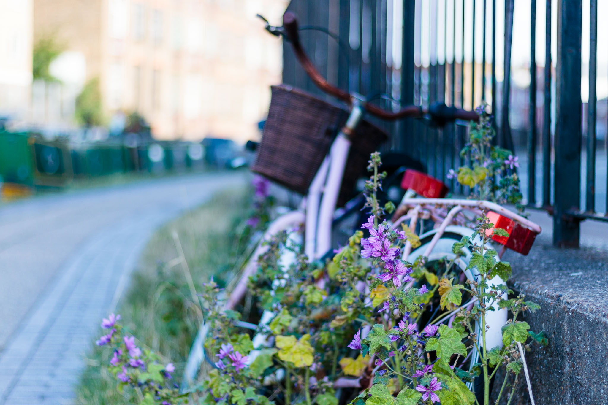 Taken on a canal near Victoria Park, London.